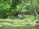 3. nap
