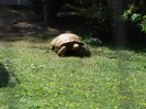 2. nap
