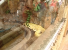 2. nap