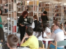 mesevetélkedő megyei döntő