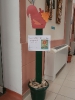Szekció ülés képei