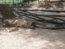 3. nap