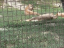 3. nap