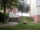 5. nap