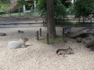 4. nap