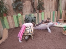 4. nap