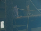 4. nap