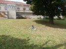 5. nap