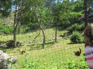 4. nap_87