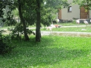 3. nap_101