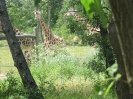 3. nap_102