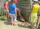 3. nap_110