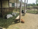 3. nap_112