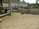 3. nap_119