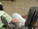 3. nap_120