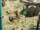 3. nap_35