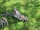 3. nap_73