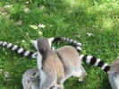 3. nap_74