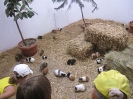 3. nap_9