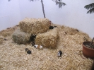 3. nap_9