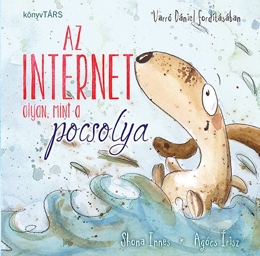 az internet